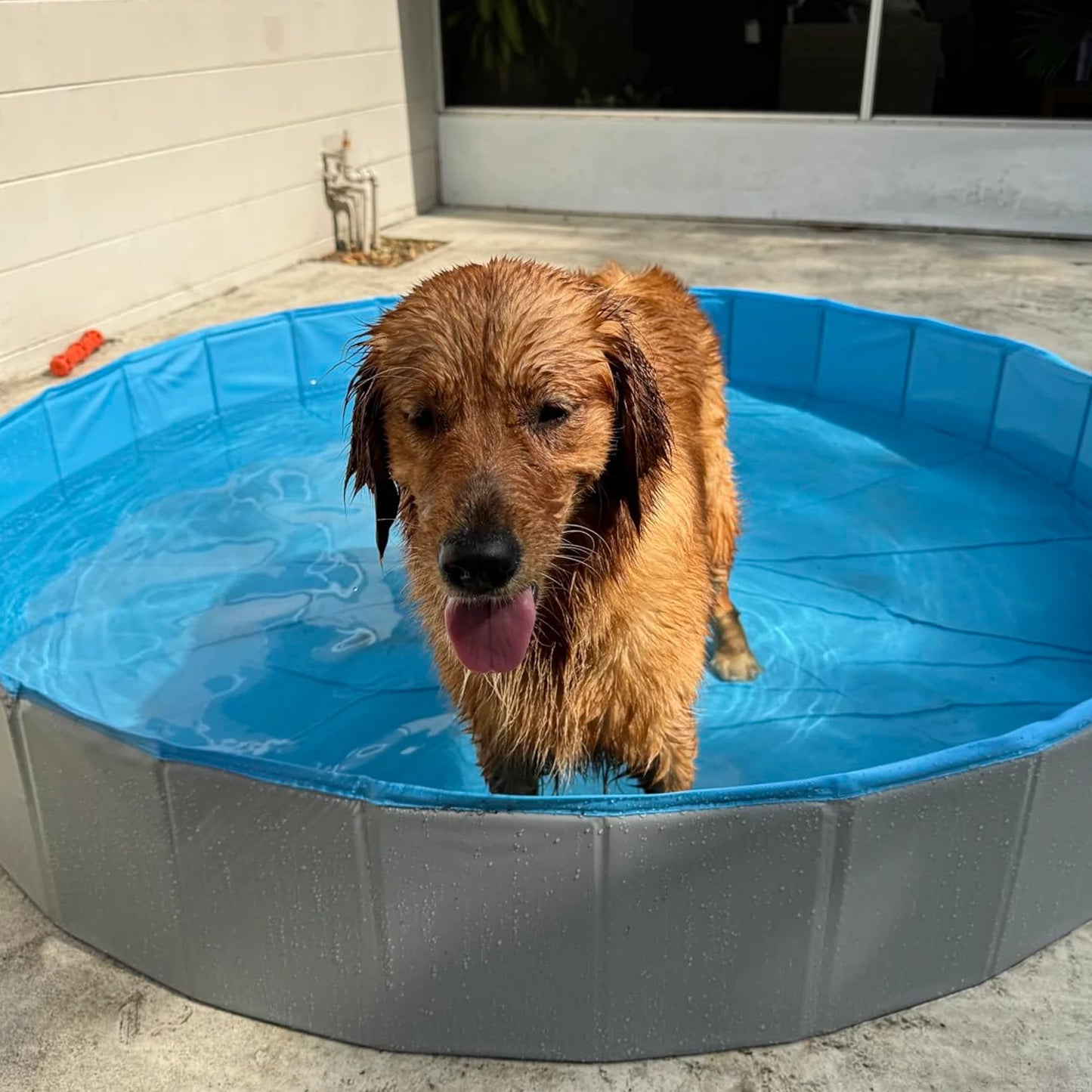 Outdoor Dog Pool, Collapsible Dog Pet Pool Bathing Tub for Puppy Small Medium Large Dogs, Blue, 40" - 64"