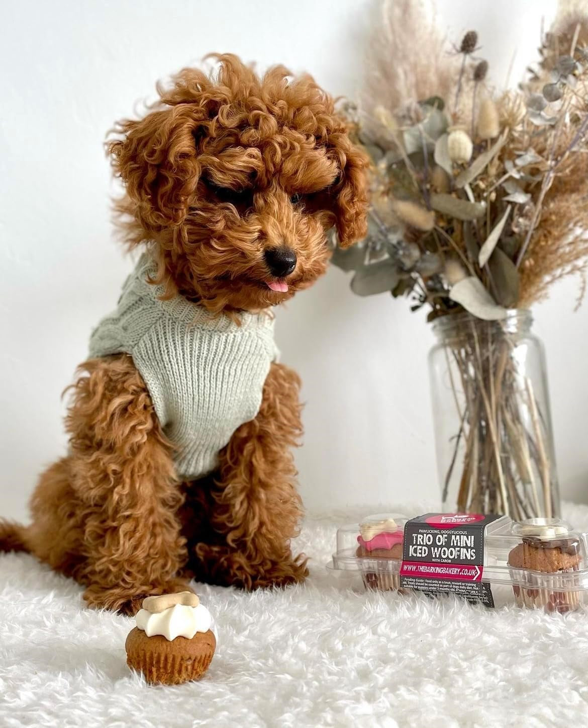 DOG TREATS Trio Mini Iced Woofin. Dog Birthday Cake for Dogs/Puppy. Small Cake