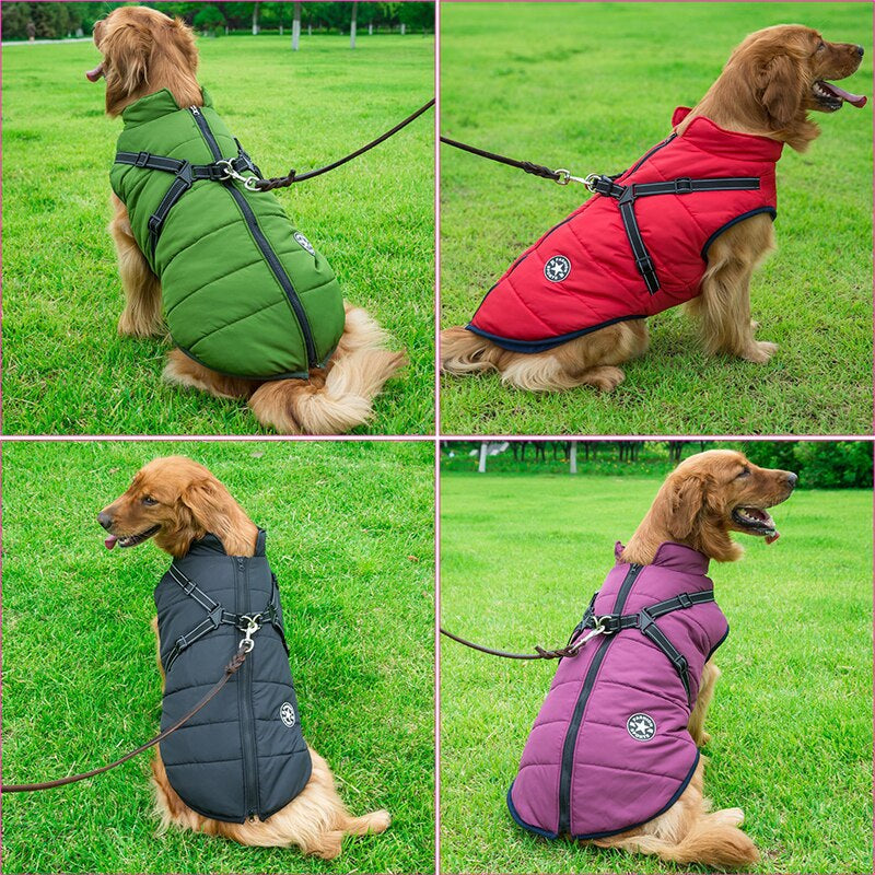 Superidag Perfector DOG JACKET