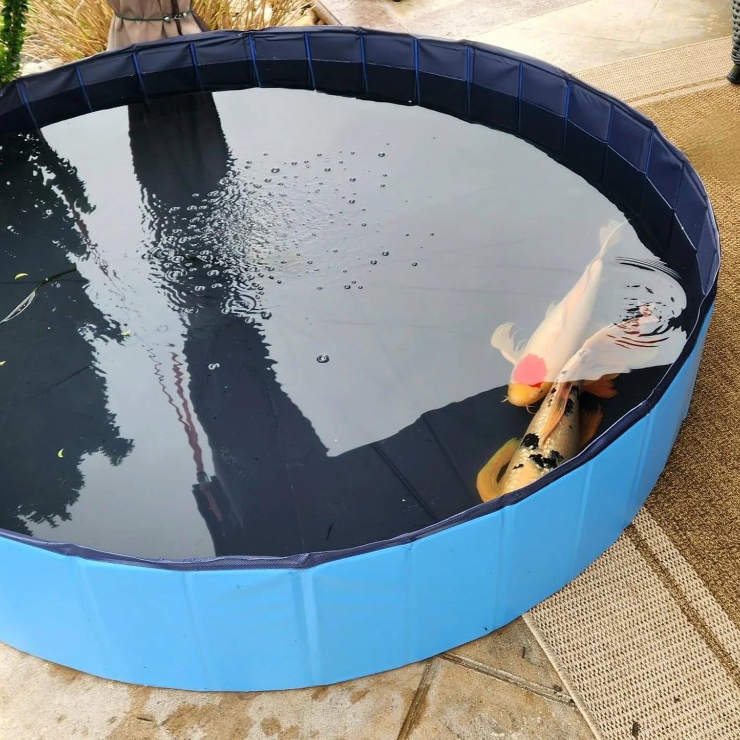 Outdoor Dog Pool, Collapsible Dog Pet Pool Bathing Tub for Puppy Small Medium Large Dogs, Blue, 40" - 64"