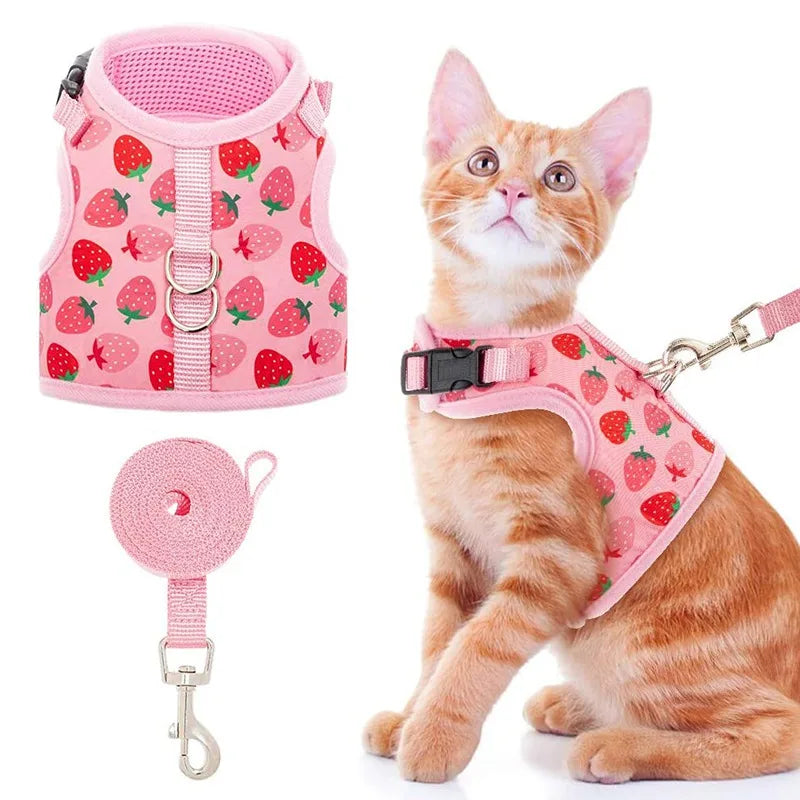 Breathable Cat Harness Collar Escape Proof Pet Harness and Leash Set Kitten Puppy Small Dogs Chest Vest No Pull Chihuahua