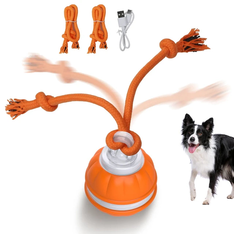 Interactive Dog Toy Ball Motion Activated Smart Dog Toy Automatic Moving Teasing Balls Puppy Cleaning Teeth Chew Toys Knot Rope