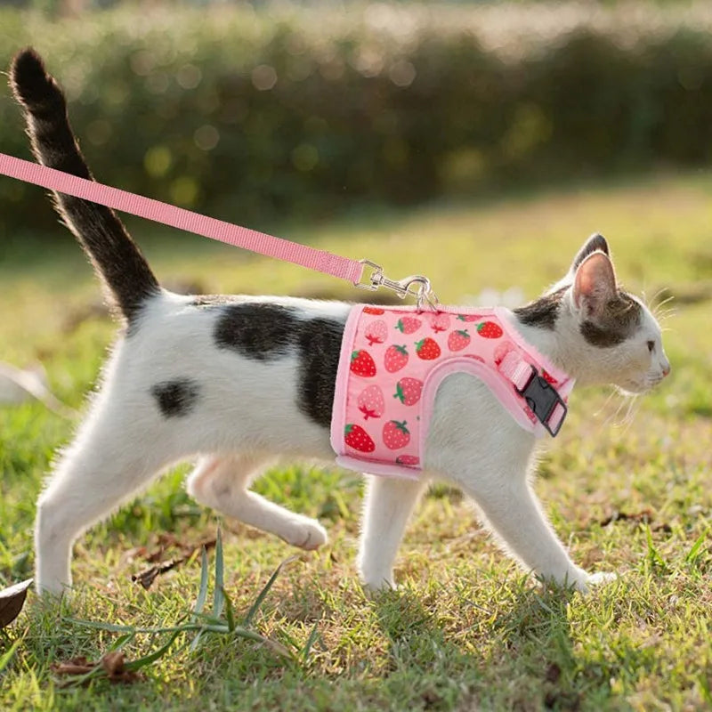 Breathable Cat Harness Collar Escape Proof Pet Harness and Leash Set Kitten Puppy Small Dogs Chest Vest No Pull Chihuahua