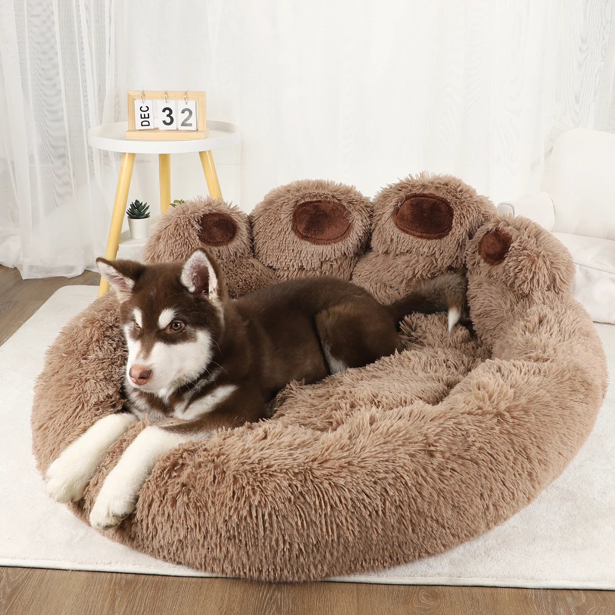 Pet Dog Sofa Beds for Dogs