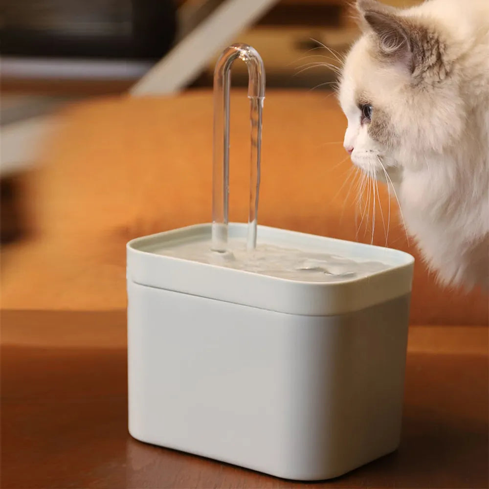 Water Fountain Pets