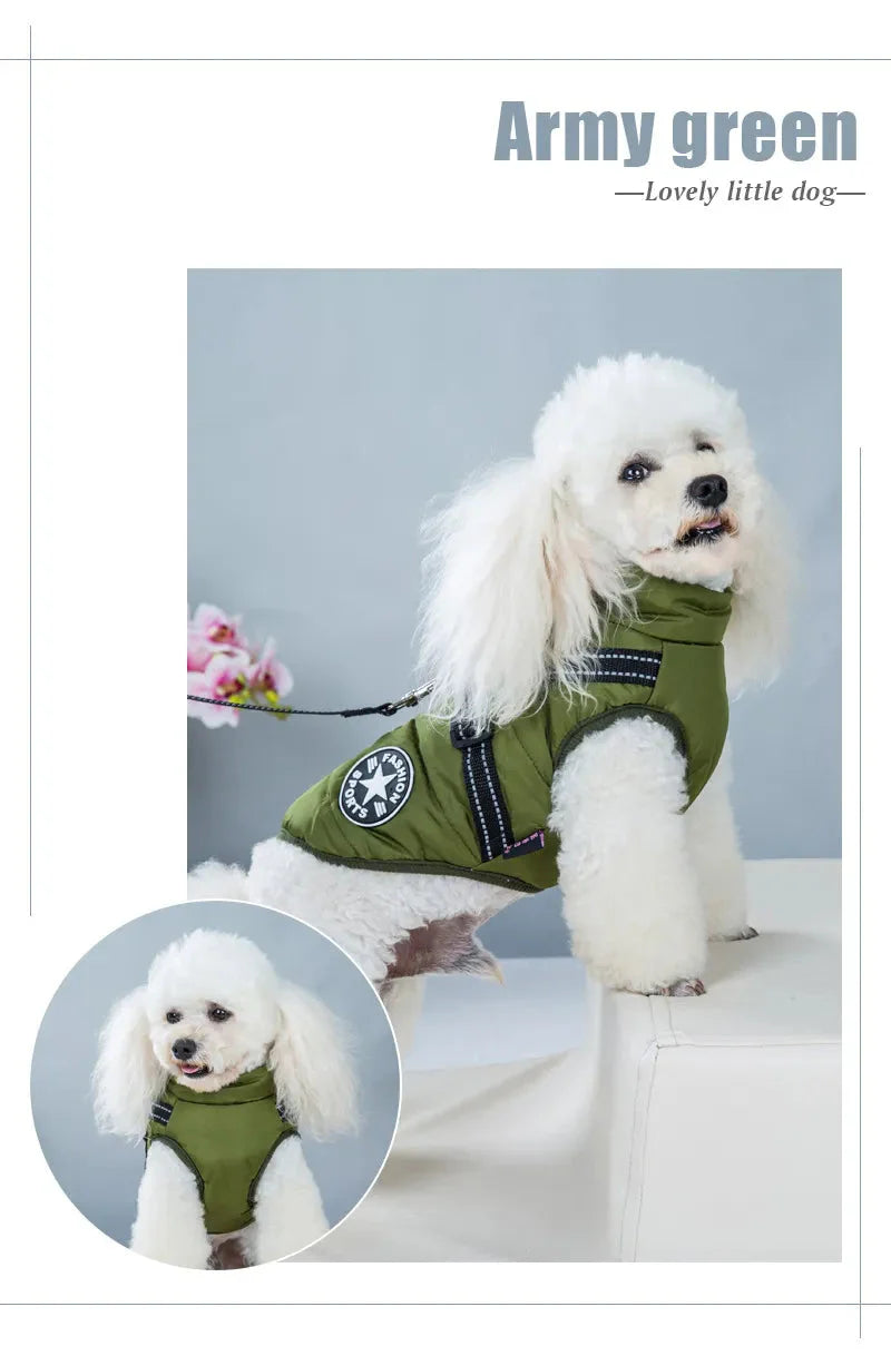 Superidag Perfector DOG JACKET