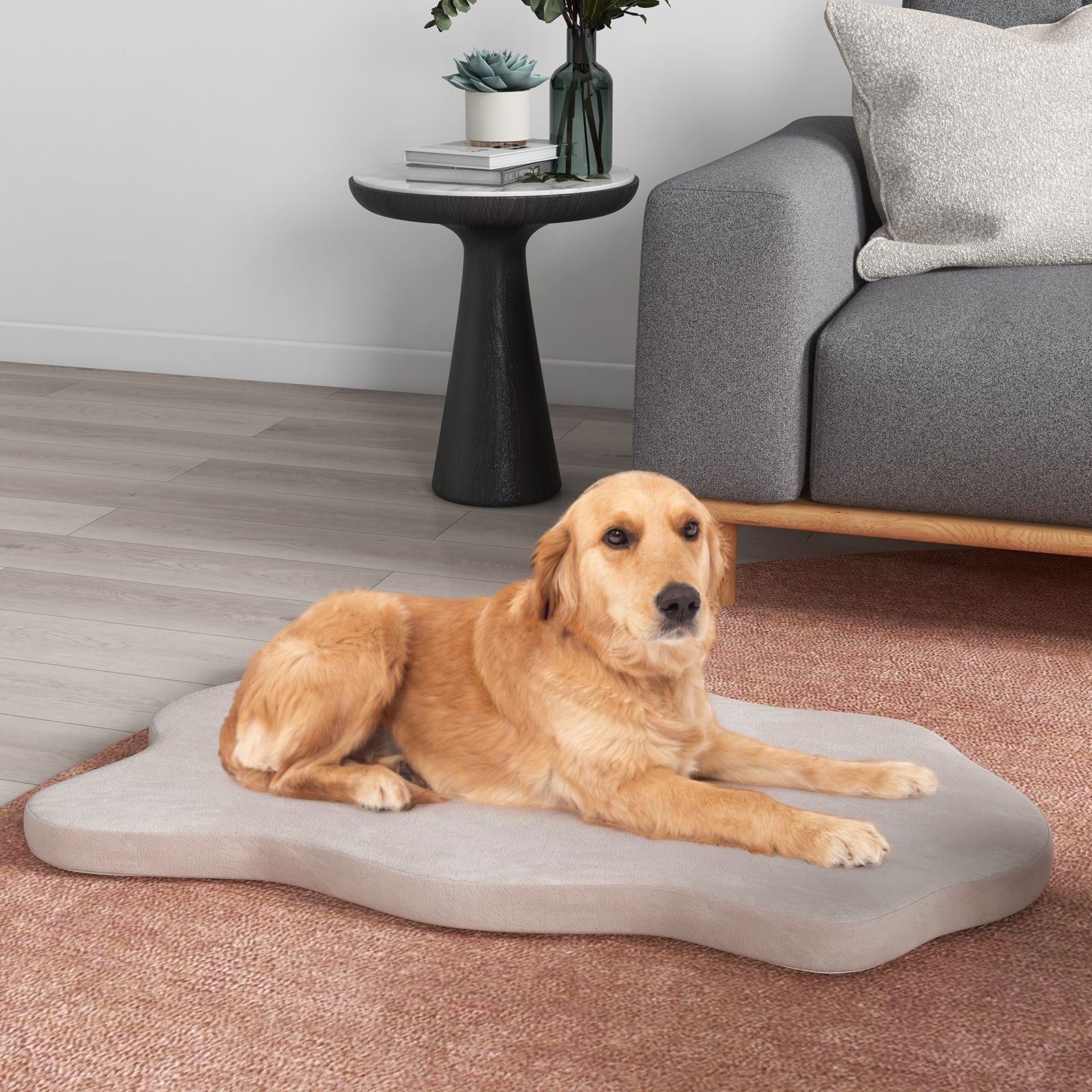 Large Dog Bed with Memory Foam Support and Removable Cover