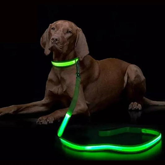 LED Light up Dog Leash Luminous Rope Lead Leash for Dog Safety Flashing Glowing Dog Collar Harness Electronic Pet Accessories