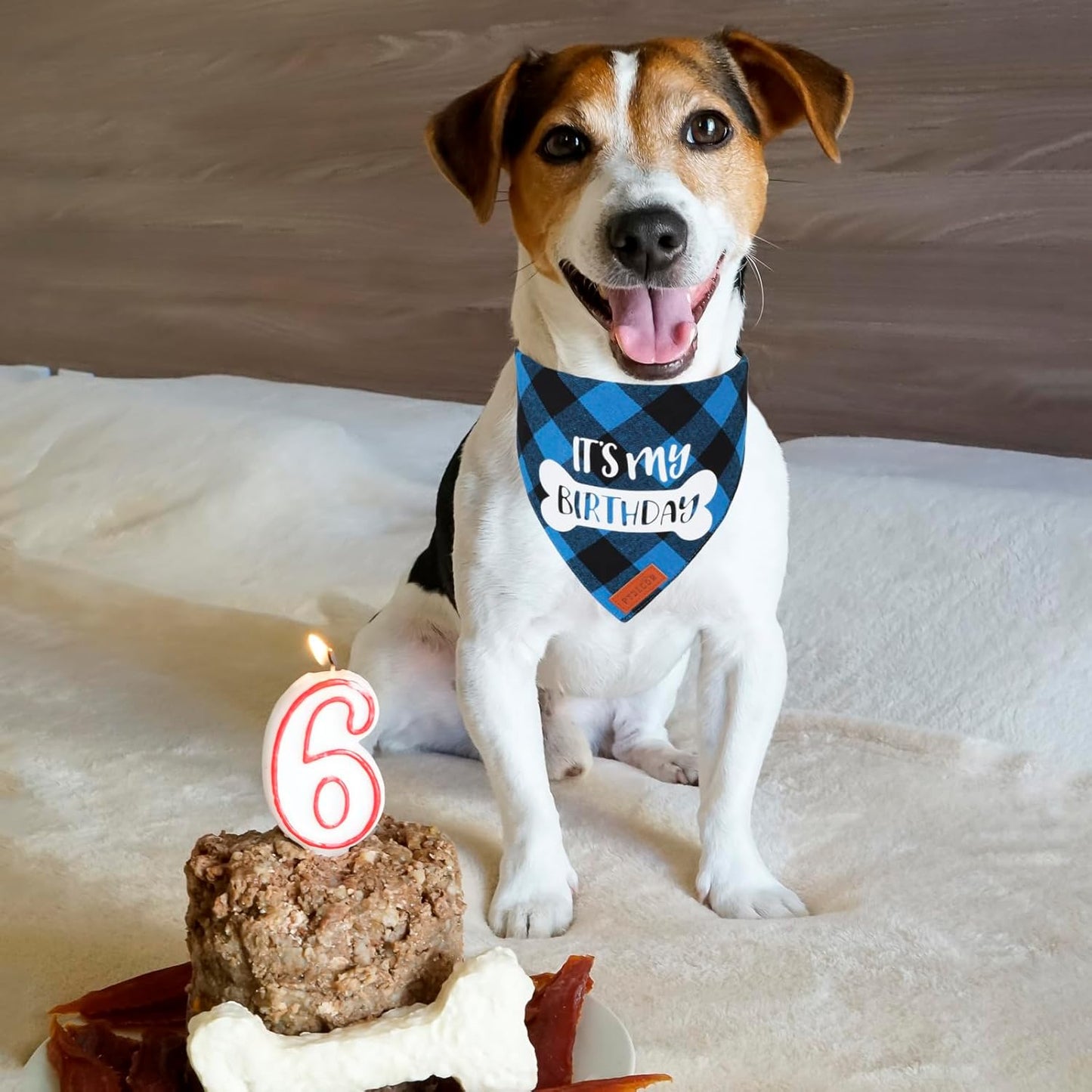 Dog Birthday Party Supplies, It’S My Birthday Dog Bandana Blue Plaid Boy Dog Birthday Bandana for Medium Large Dogs (Blue, Large)