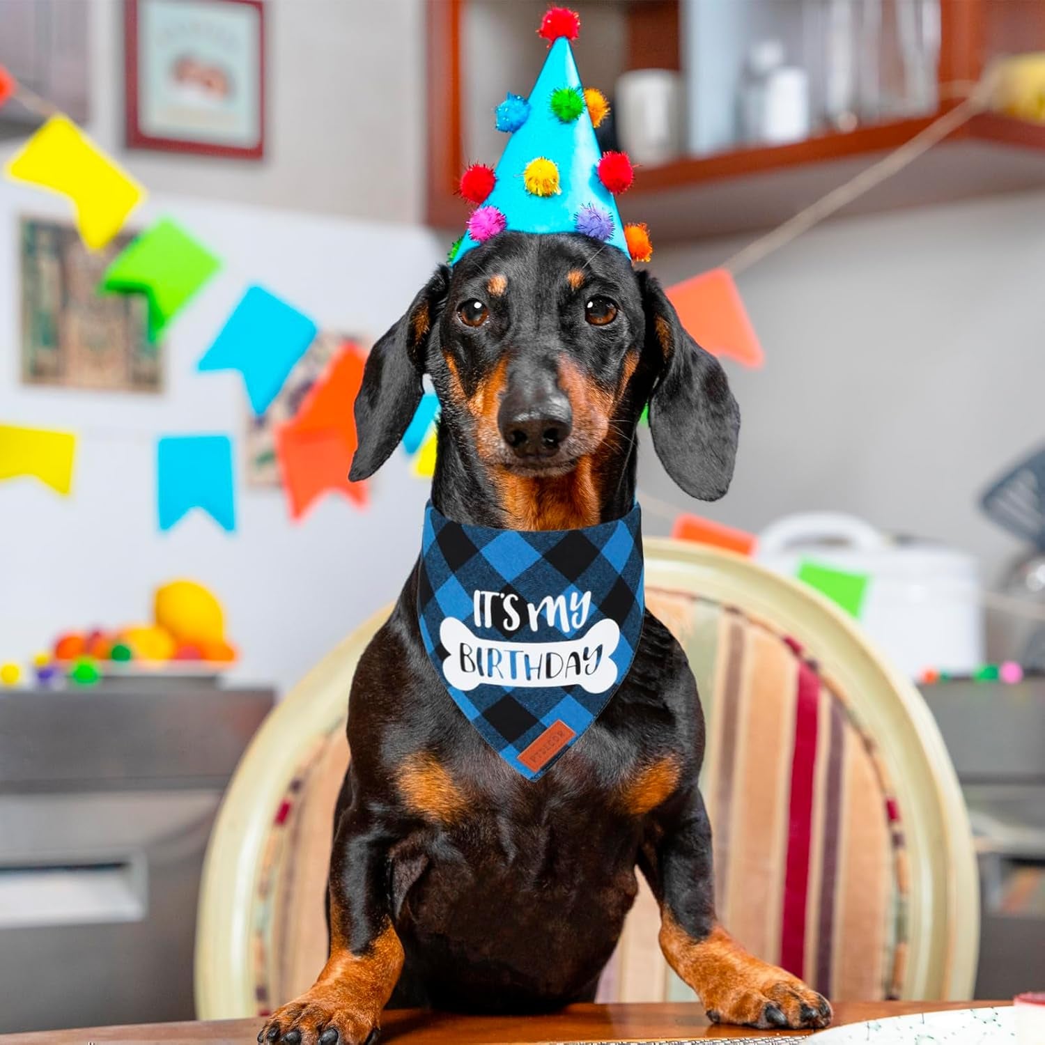 Dog Birthday Party Supplies, It’S My Birthday Dog Bandana Blue Plaid Boy Dog Birthday Bandana for Medium Large Dogs (Blue, Large)