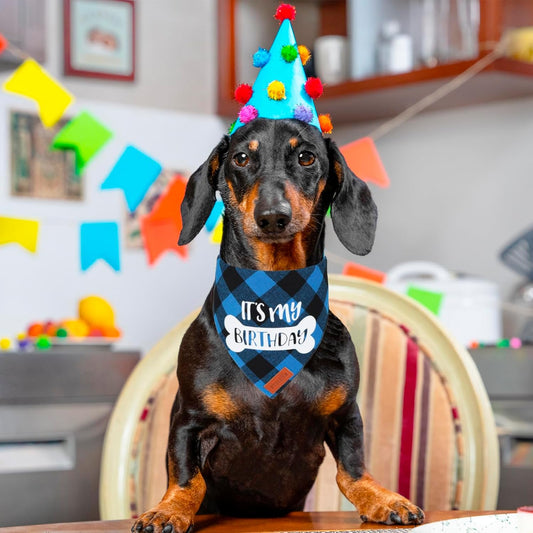 Dog Birthday Party Supplies, It’S My Birthday Dog Bandana Blue Plaid Boy Dog Birthday Bandana for Medium Large Dogs (Blue, Large)